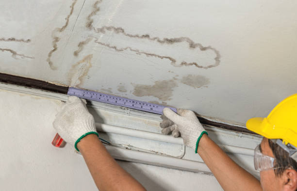 Reliable Mold Remediation contractor in Hancock, MI by Water Damage Irwin